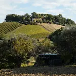 Casa Renzo, Exclusive With Private Pool - Near Fermo Villa