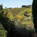 Villa Casa Renzo, Exclusive With Private Pool - Near Fermo Montegiorgio