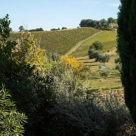 别墅 Casa Renzo, Exclusive With Private Pool - Near Fermo Montegiorgio
