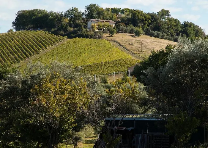 Casa Renzo, Exclusive With Private Pool - Near Fermo Βίλα