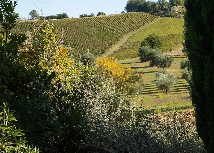 Βίλα Casa Renzo, Exclusive With Private Pool - Near Fermo Montegiorgio